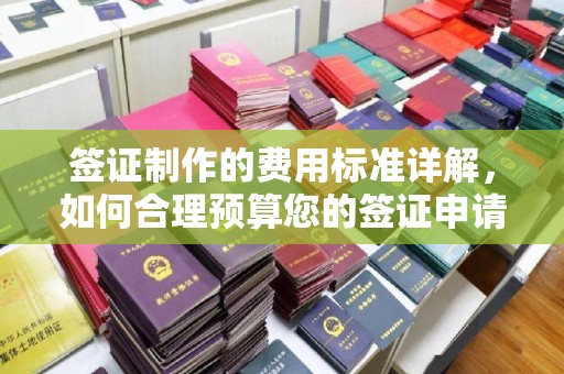 那坡签证制作的费用标准详解，如何合理预算您的签证申请成本